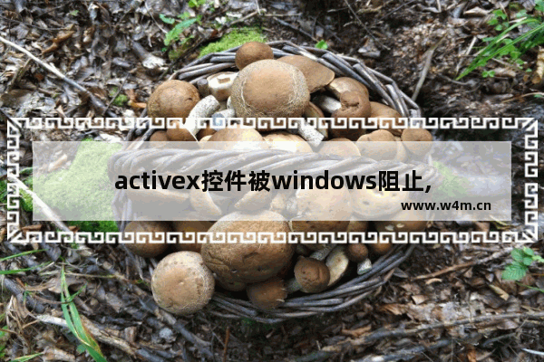 activex控件被windows阻止,调用activex控件出错