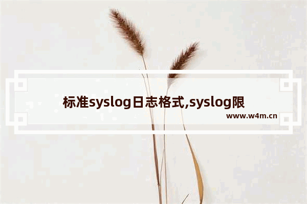 标准syslog日志格式,syslog限制日志文件大小