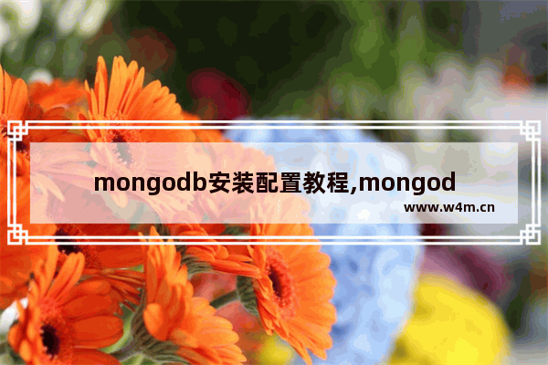 mongodb安装配置教程,mongodb安装配置的实验总结