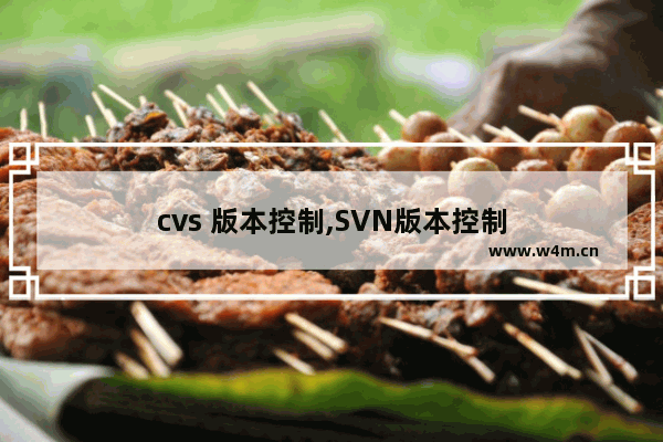 cvs 版本控制,SVN版本控制