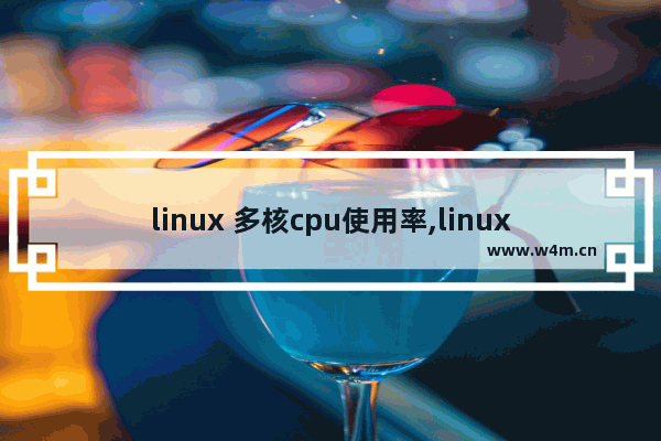 linux 多核cpu使用率,linux是多cpu还是单cpu