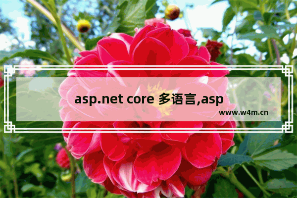 asp.net core 多语言,asp.net mvc 多语言