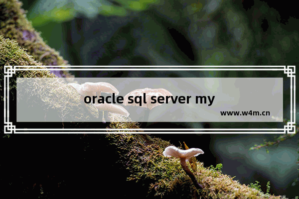 oracle sql server mysql三者相比,mysql和oracle的区别