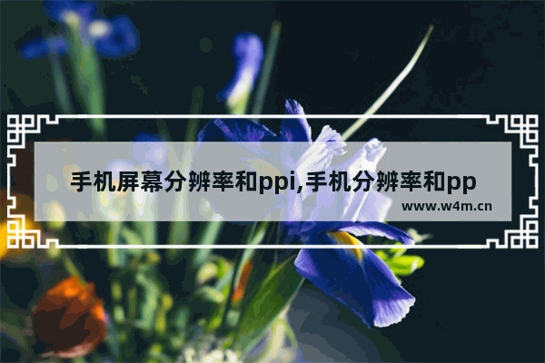 手机屏幕分辨率和ppi,手机分辨率和ppi的关系