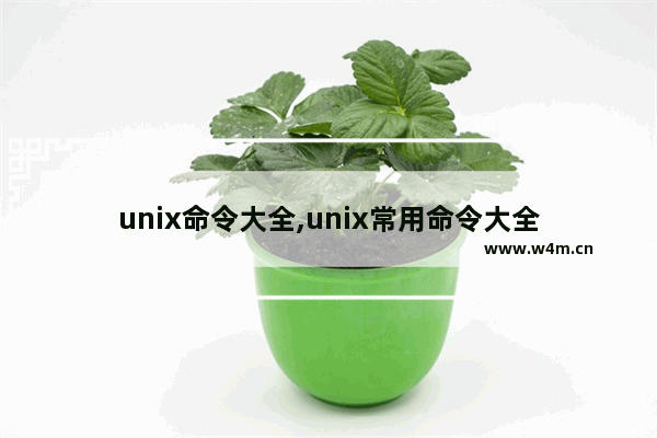 unix命令大全,unix常用命令大全