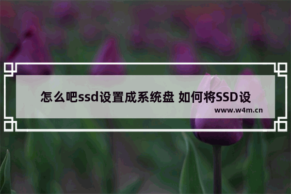 怎么吧ssd设置成系统盘 如何将SSD设置为Windows系统盘？