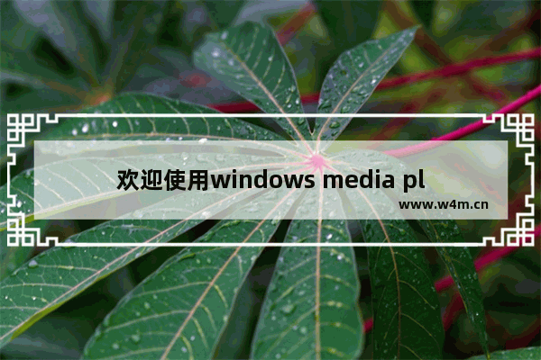 欢迎使用windows media player,启动windows media player的方法