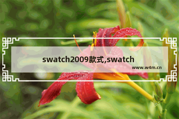 swatch2009款式,swatch 型号怎么看