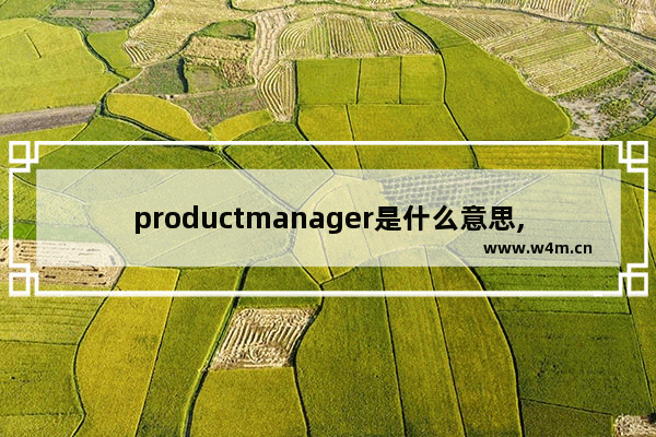 productmanager是什么意思,productmanager的读音