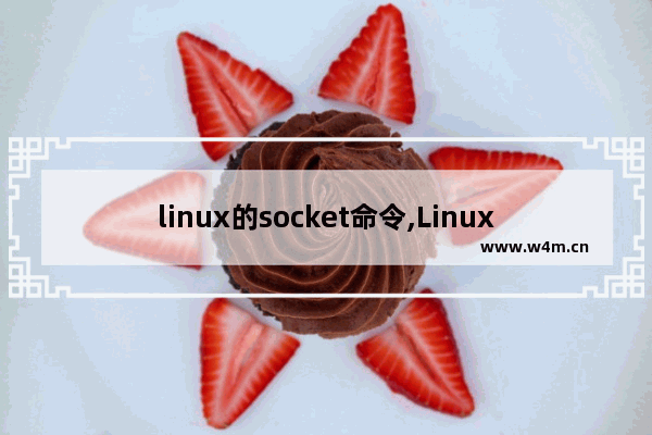 linux的socket命令,Linux socket函数