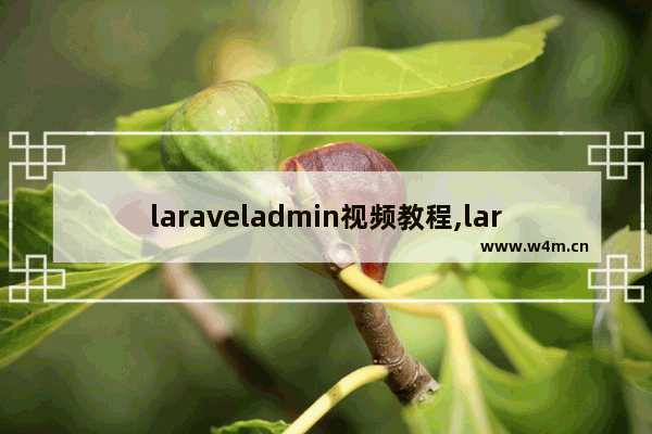 laraveladmin视频教程,laravel用户管理