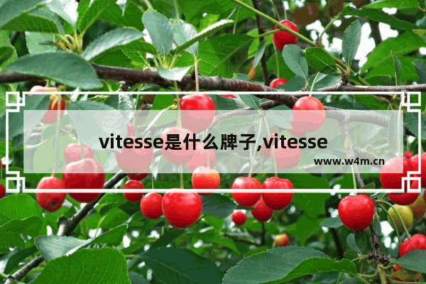 vitesse是什么牌子,vitesse芯片