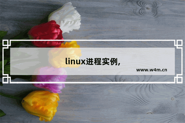 linux进程实例,