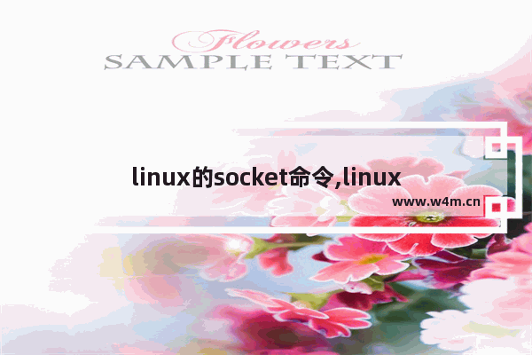 linux的socket命令,linux socket参数