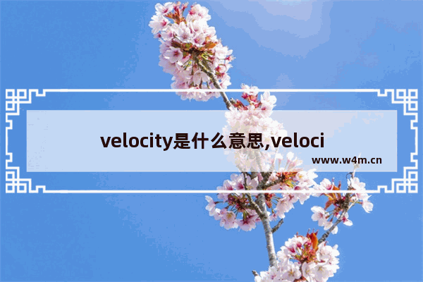 velocity是什么意思,velocity怎么读