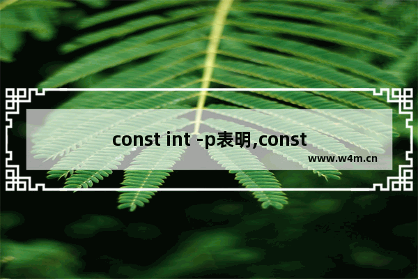 const int -p表明,const int是常量还是变量