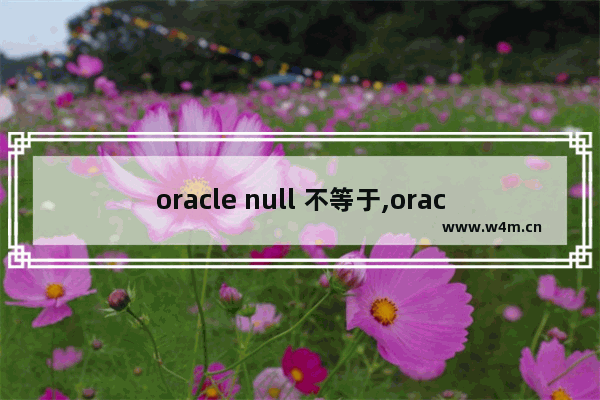 oracle null 不等于,oracle判断null函数