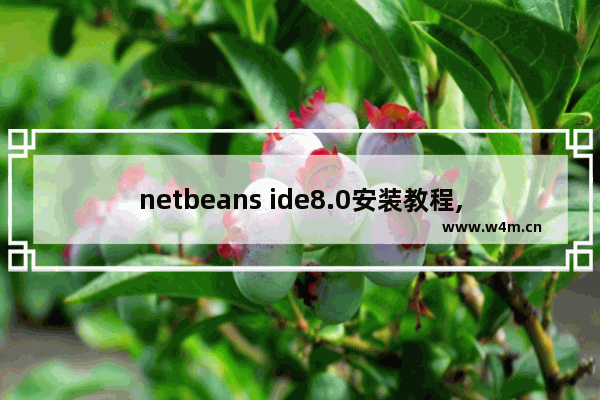 netbeans ide8.0安装教程,netbeans ide使用教程