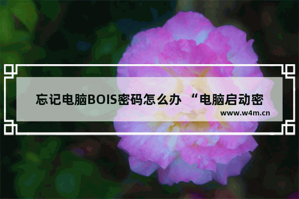 忘记电脑BOIS密码怎么办 “电脑启动密码忘记了怎么办？”