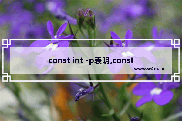 const int -p表明,const int是常量还是变量