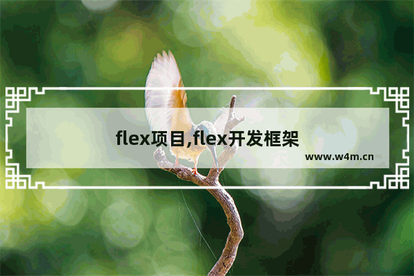 flex项目,flex开发框架