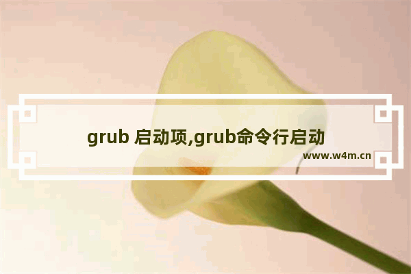 grub 启动项,grub命令行启动