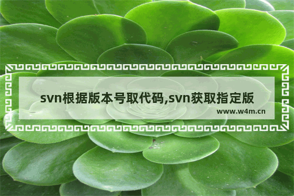 svn根据版本号取代码,svn获取指定版本代码