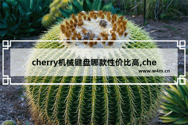 cherry机械键盘哪款性价比高,cherry和赛睿键盘哪个好