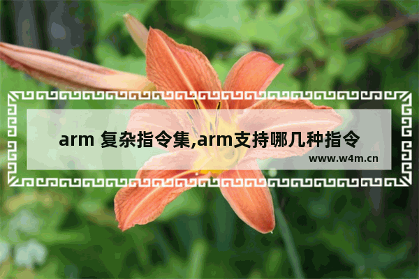 arm 复杂指令集,arm支持哪几种指令集