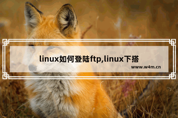 linux如何登陆ftp,linux下搭建ftp