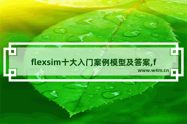 flexsim十大入门案例模型及答案,flexa编程