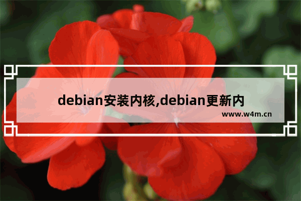 debian安装内核,debian更新内核命令