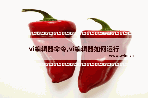 vi编辑器命令,vi编辑器如何运行