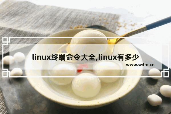 linux终端命令大全,linux有多少种终端