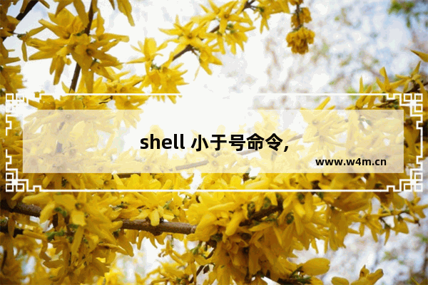 shell 小于号命令,