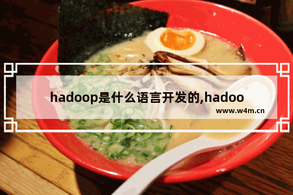 hadoop是什么语言开发的,hadoop是什么数据处理平台