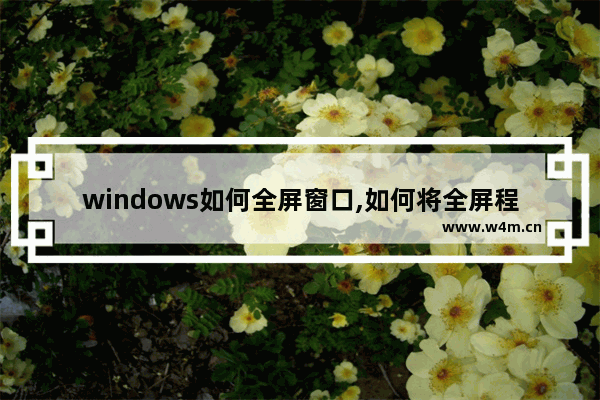 windows如何全屏窗口,如何将全屏程序窗口化