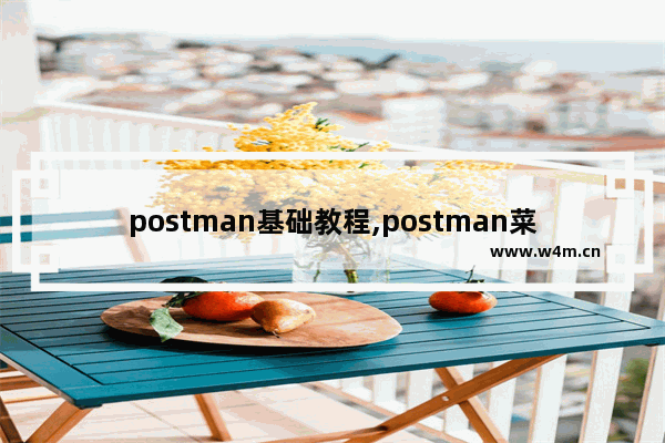 postman基础教程,postman菜鸟教程