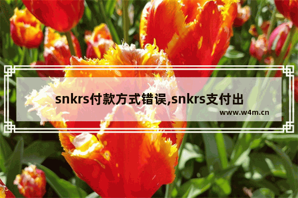 snkrs付款方式错误,snkrs支付出错解决方法