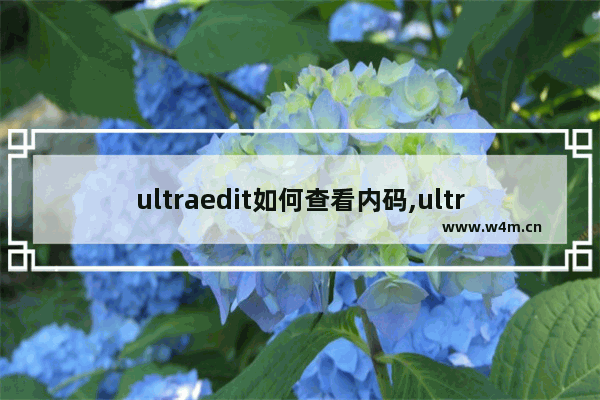 ultraedit如何查看内码,ultraedit字符内码表