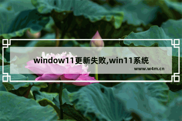 window11更新失败,win11系统更新安装失败