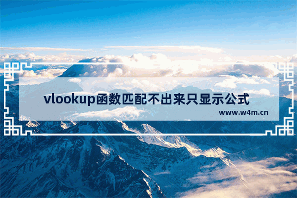 vlookup函数匹配不出来只显示公式 其他单元格正常,vlookup函数匹配不出来只显示公式,无效引用