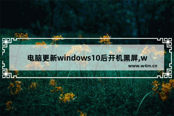 电脑更新windows10后开机黑屏,windows10系统更新后开机黑屏