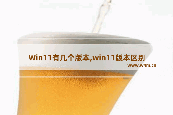 Win11有几个版本,win11版本区别对照表