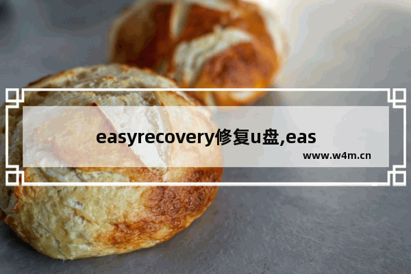 easyrecovery修复u盘,easyrecovery u盘数据恢复