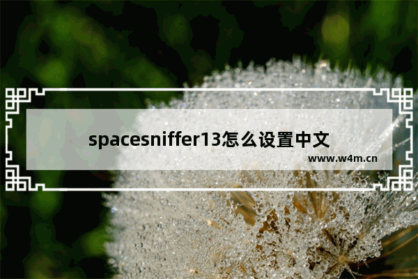 spacesniffer13怎么设置中文,SpaceSniffer.exe