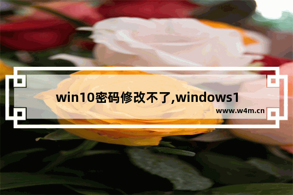 win10密码修改不了,windows10密码改不了