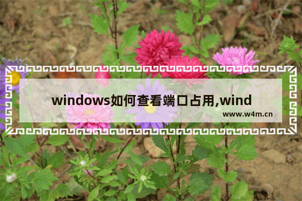 windows如何查看端口占用,windows怎么看端口占用