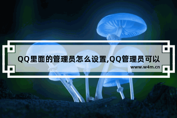 QQ里面的管理员怎么设置,QQ管理员可以设置多少个