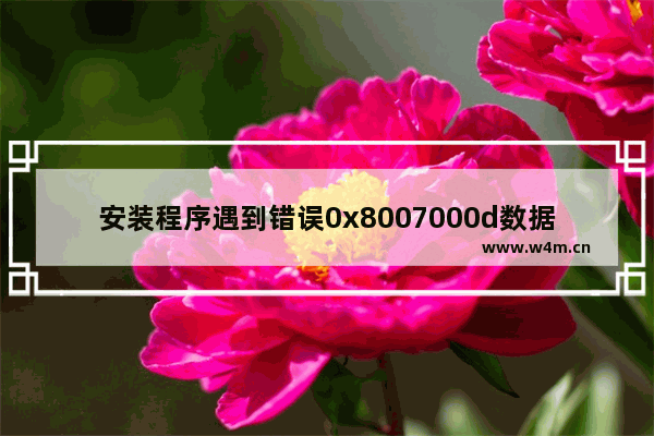 安装程序遇到错误0x8007000d数据无效,0x8007000d怎么解决